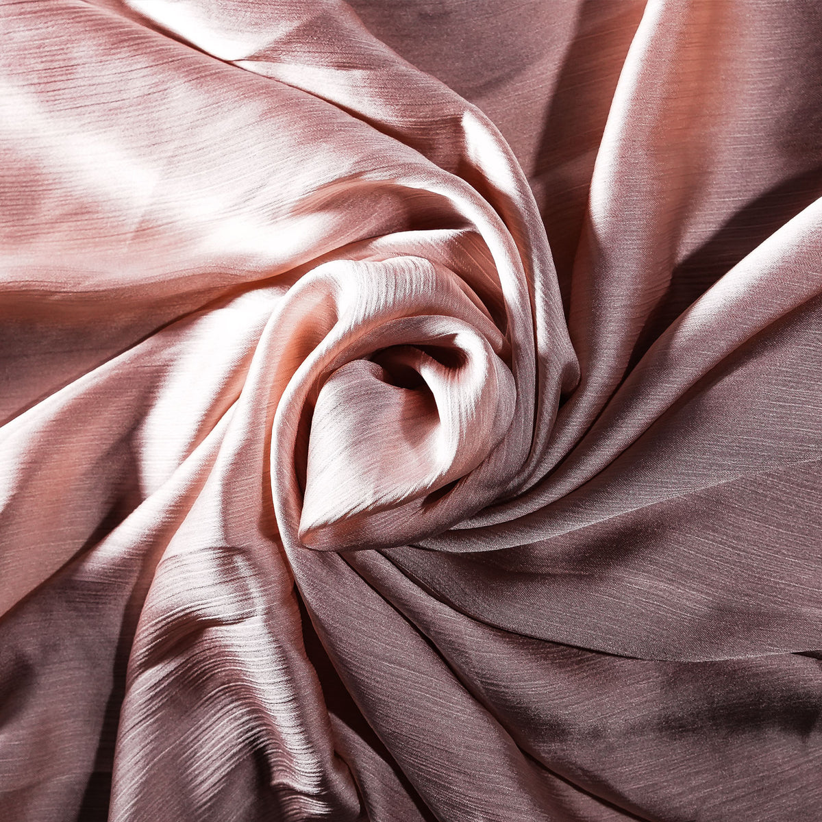 Coconut2_03e9111a 14a9 4af0 8721 0f510fd05132